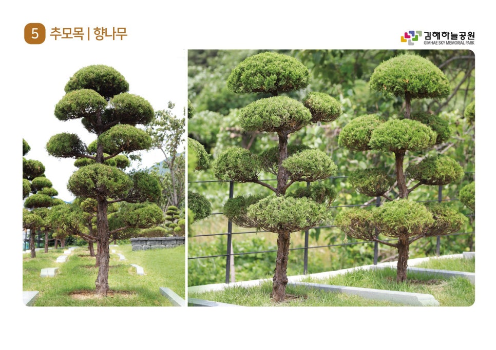 하늘공원장묘 이미지