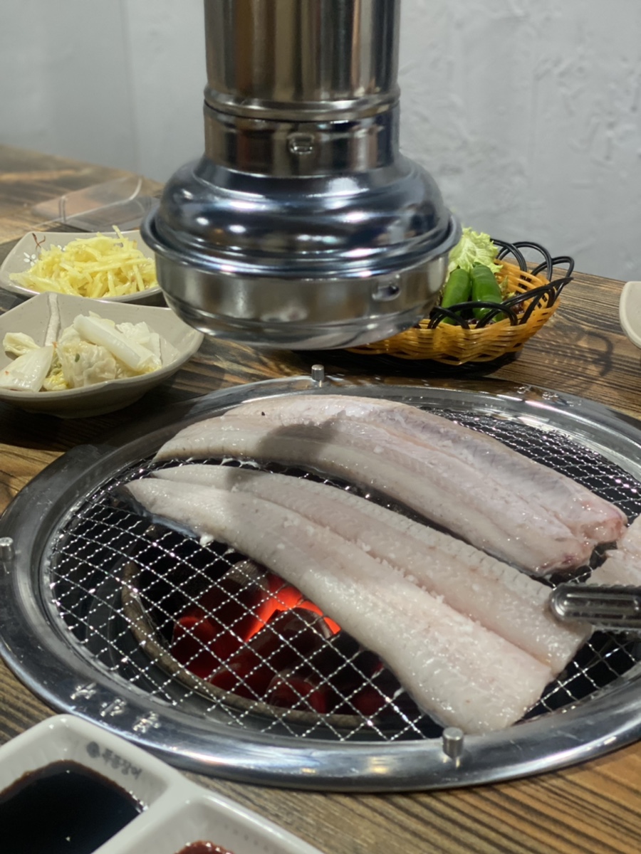 폭풍장어 이미지