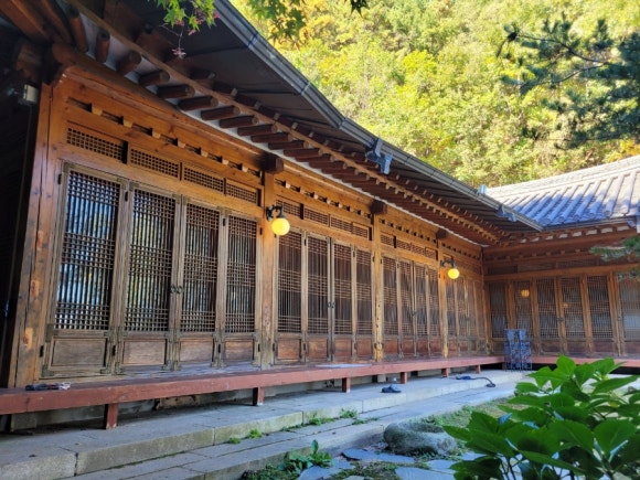 팔당산삼수목원 이미지