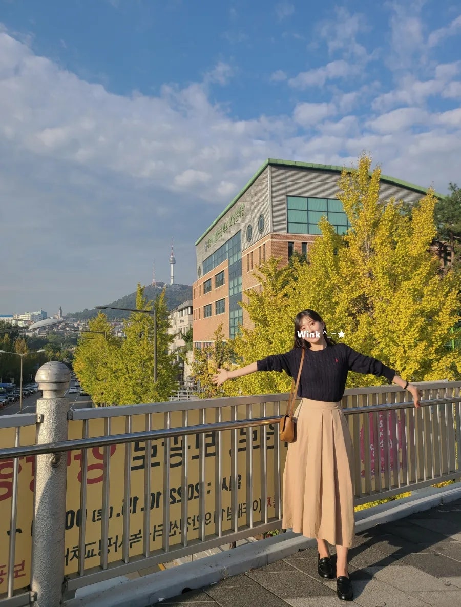 바모크 이미지