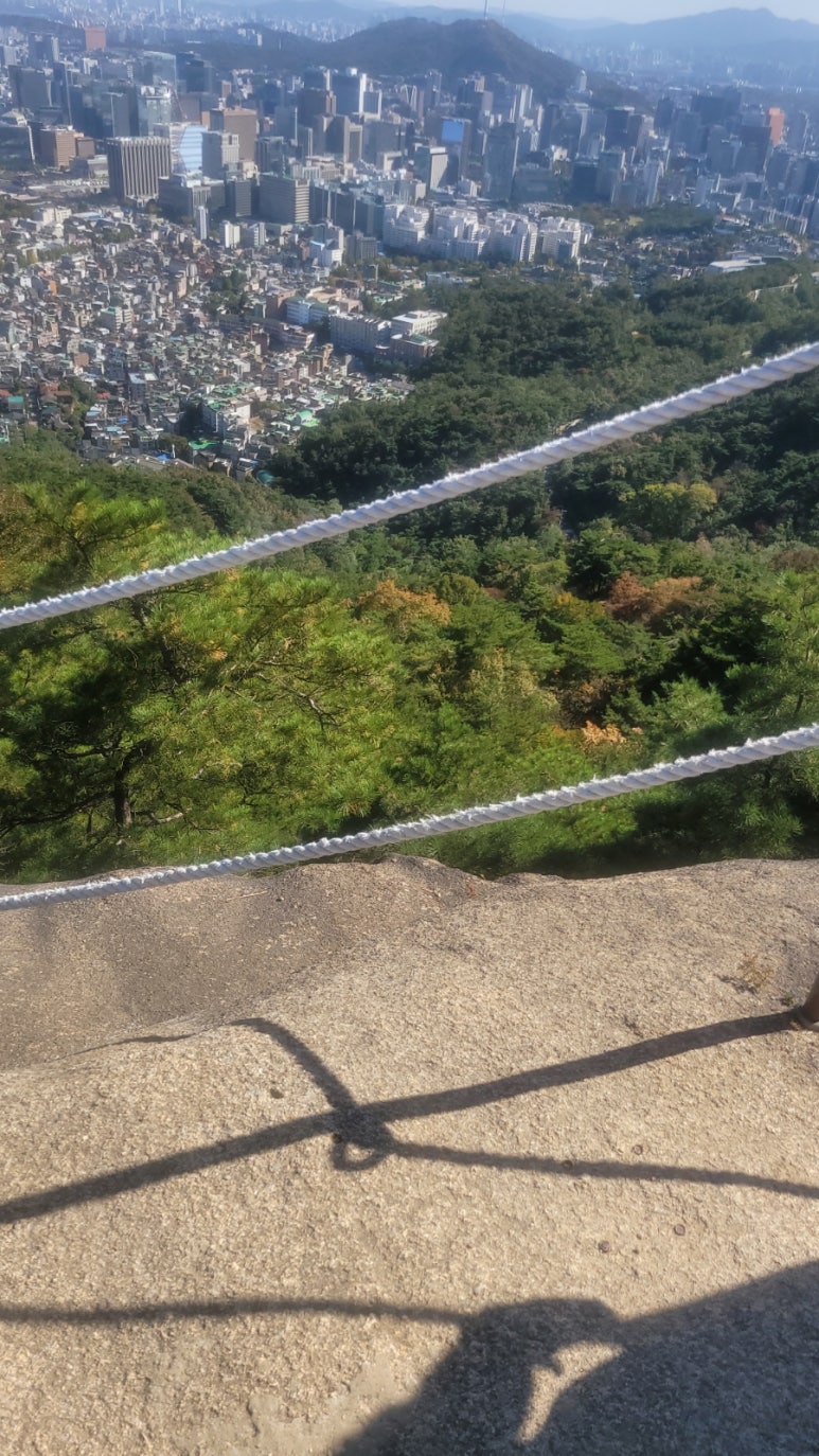 파란지 이미지