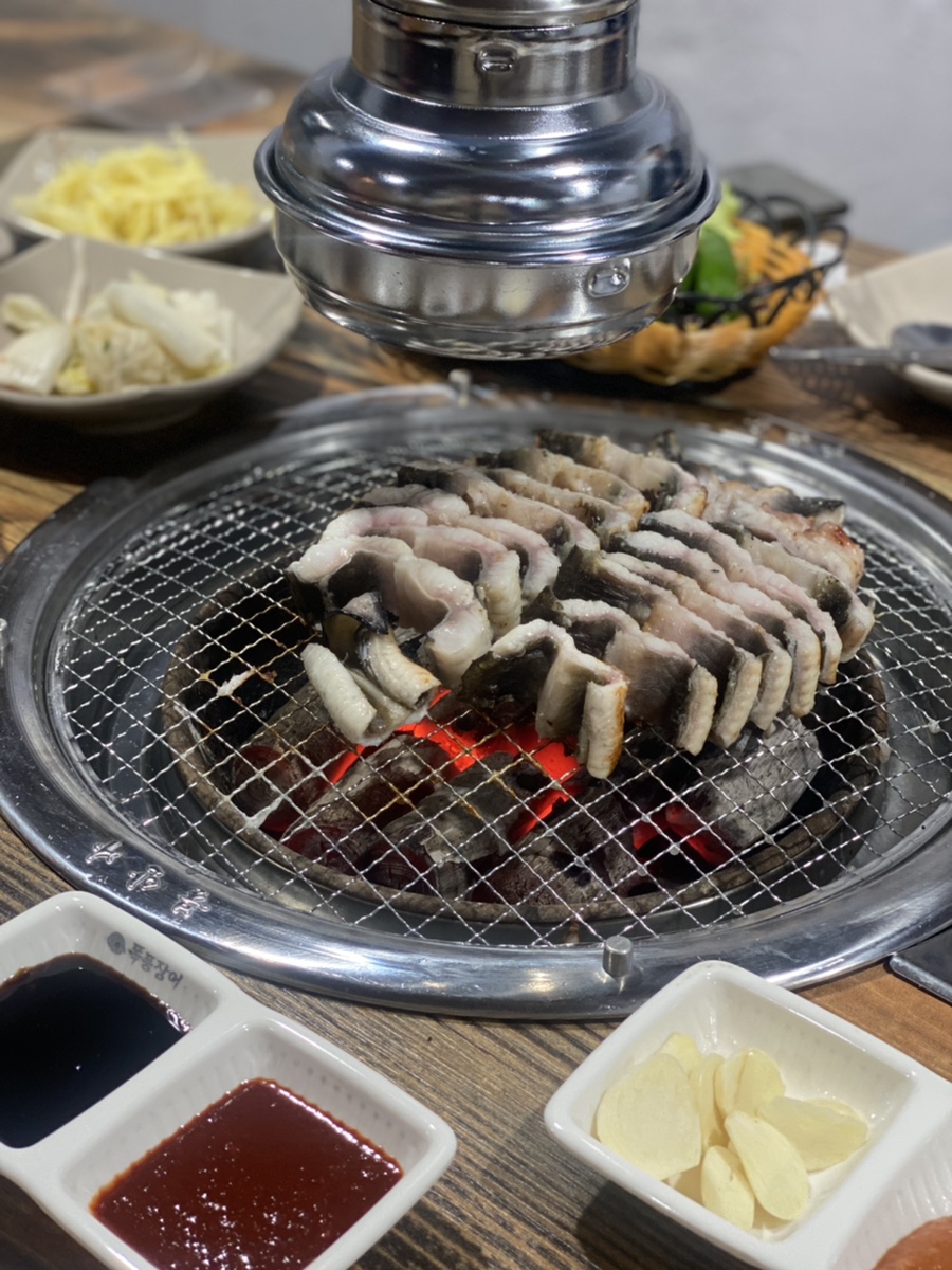 폭풍장어 이미지