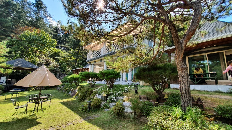 비발디스케치북 이미지