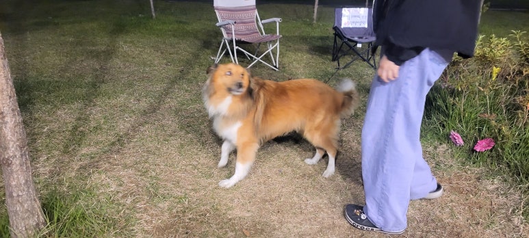 카닥터모터스 이미지