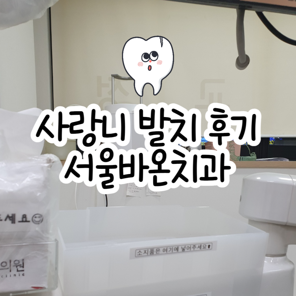 서울완수치과의원 이미지