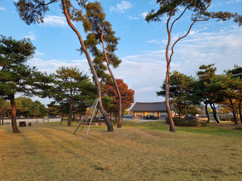 황후칼국수 이미지