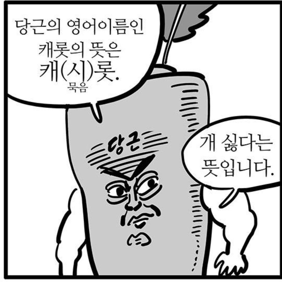 케이크 프로젝트 이미지
