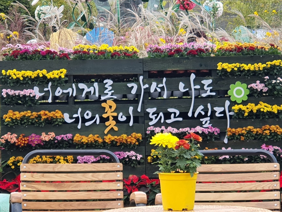 송죽칼국수 이미지