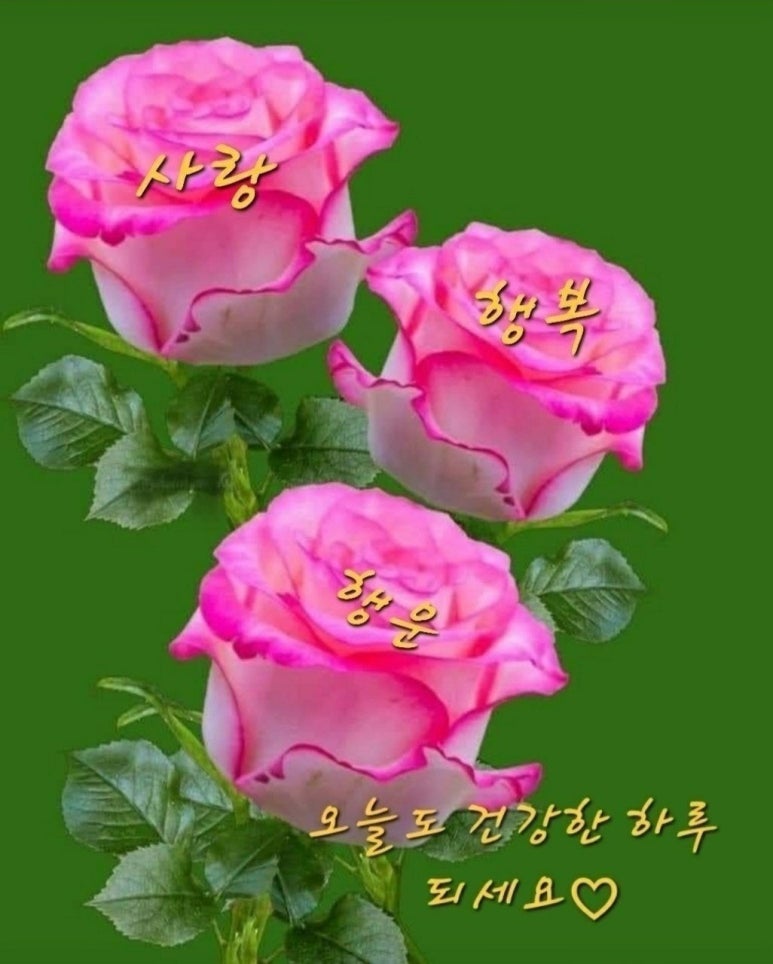 중고가전재활용 이미지
