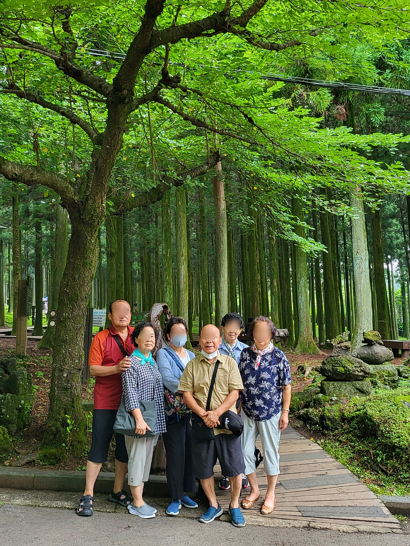 제주렌트로 이미지