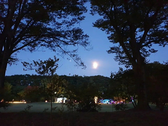 달빛더하기 이미지