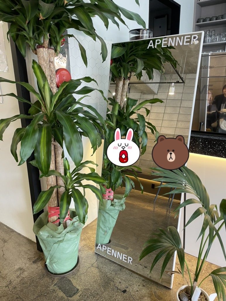 APENNER(아페너) 이미지