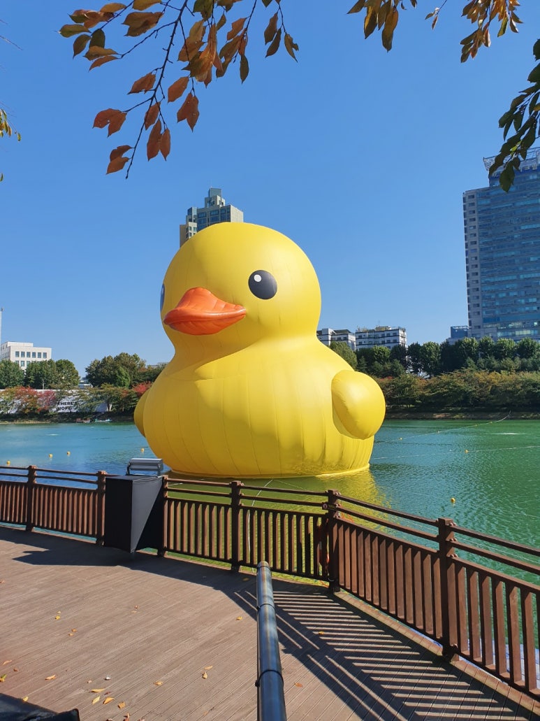 허*덕 이미지