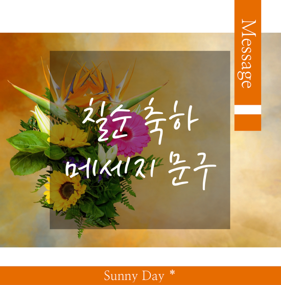 써니문구 이미지