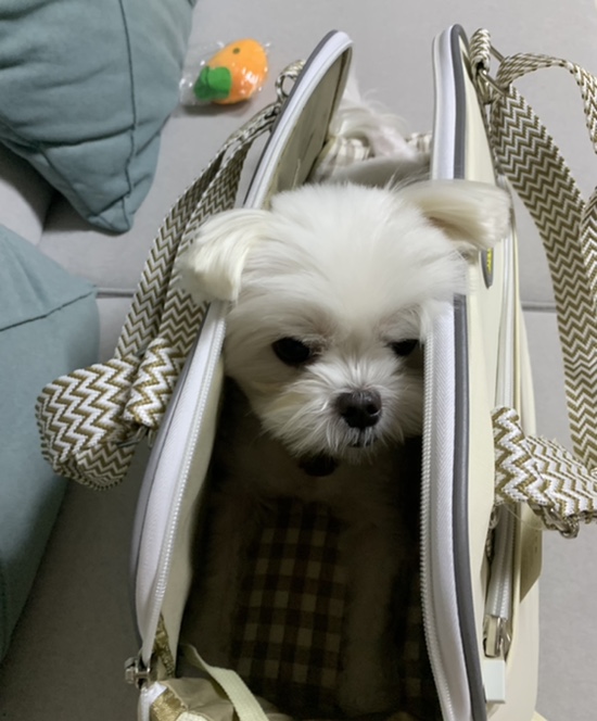 모드니세탁 이미지