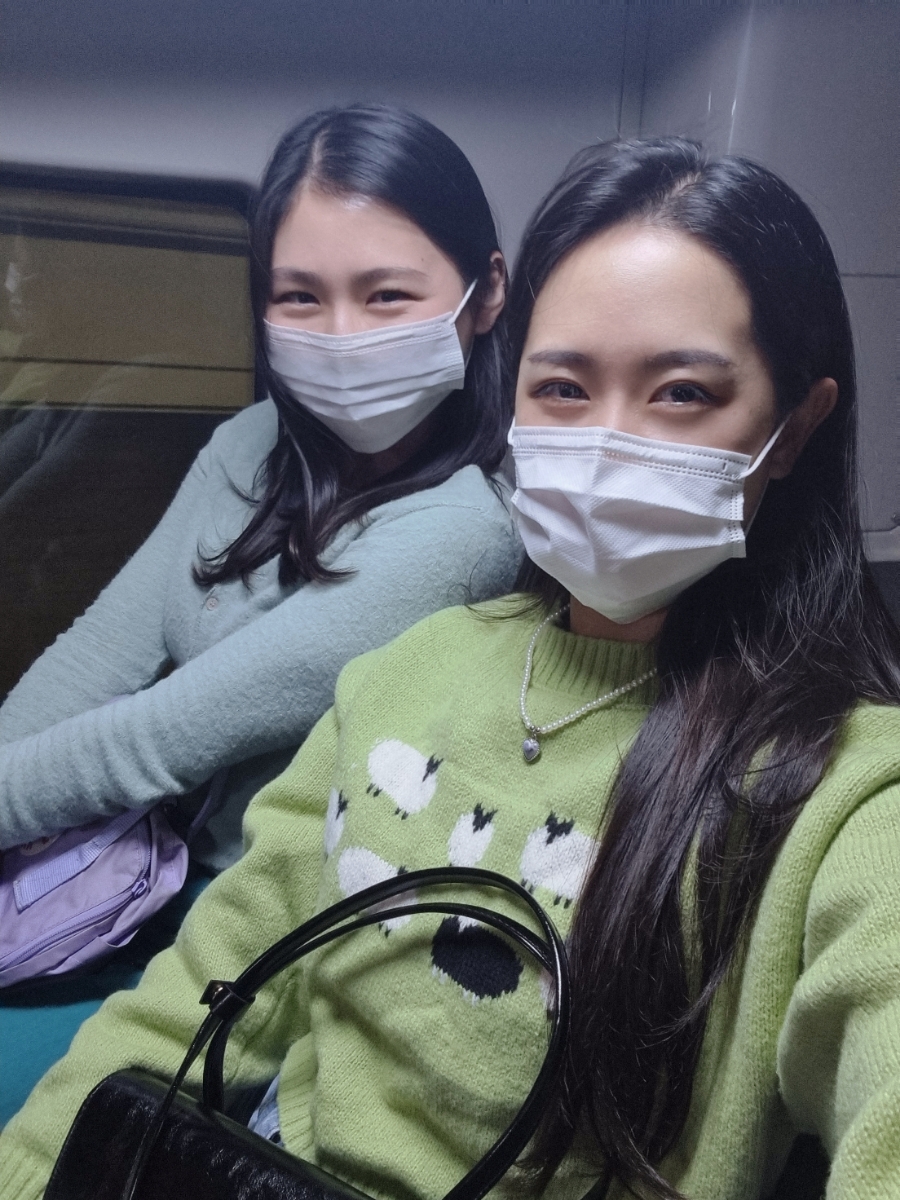 진도켄 이미지