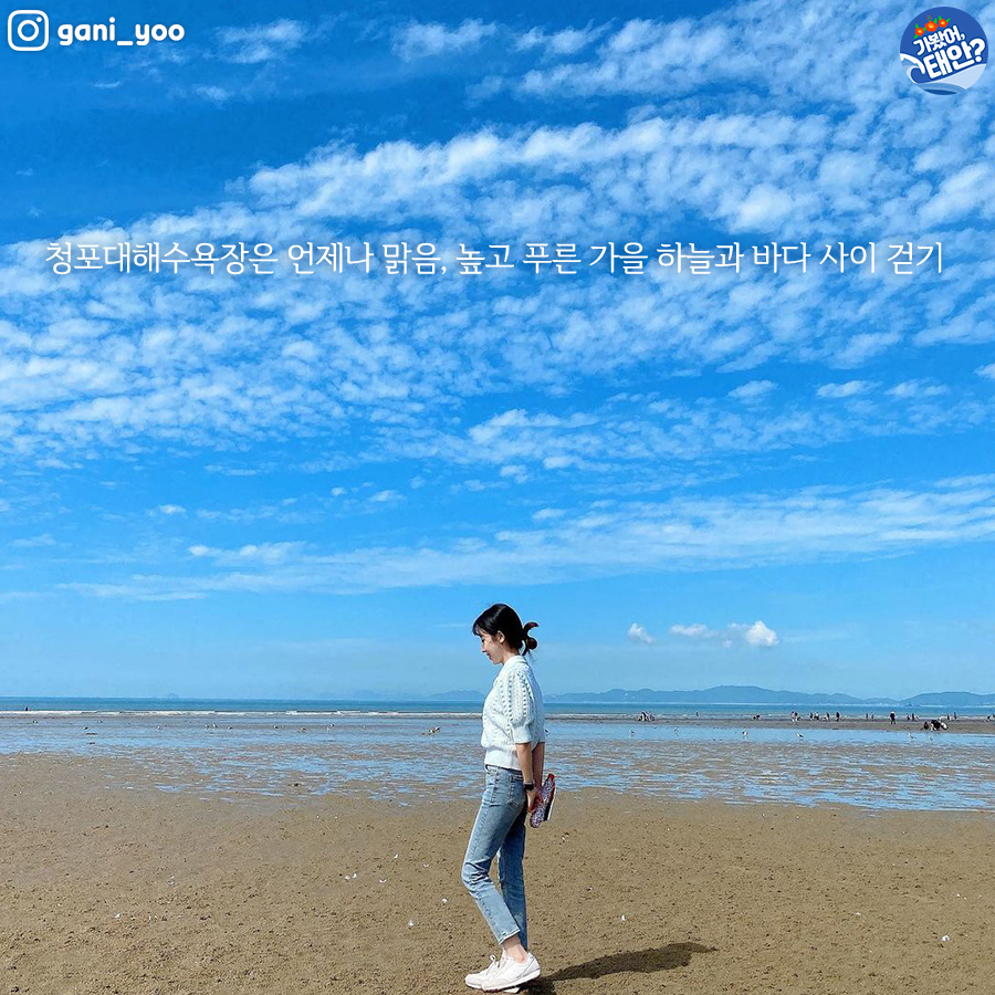 몽산포랑바다랑 이미지