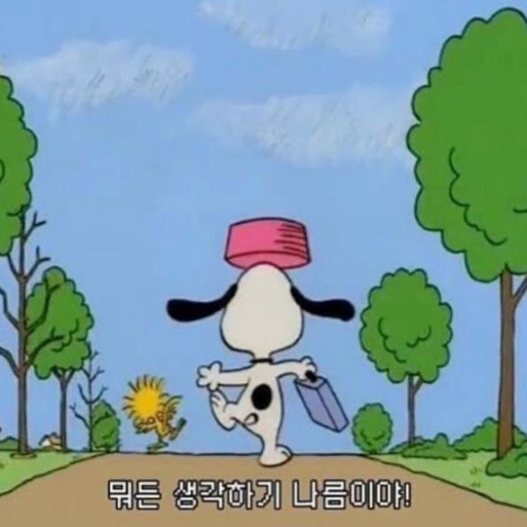 로사 이미지