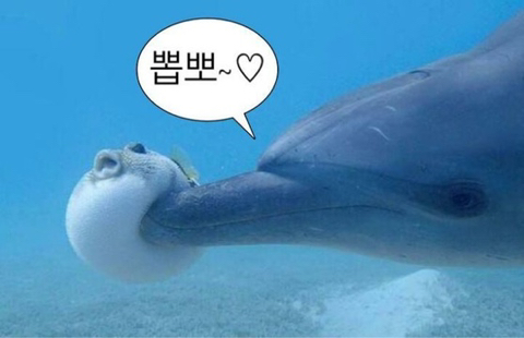 따봉여행사 이미지