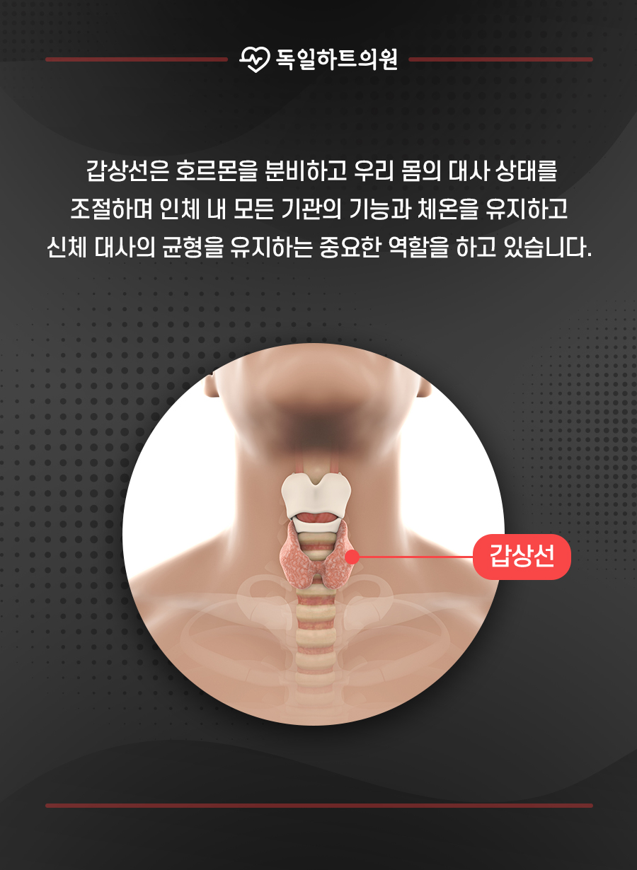 독일하트의원 이미지