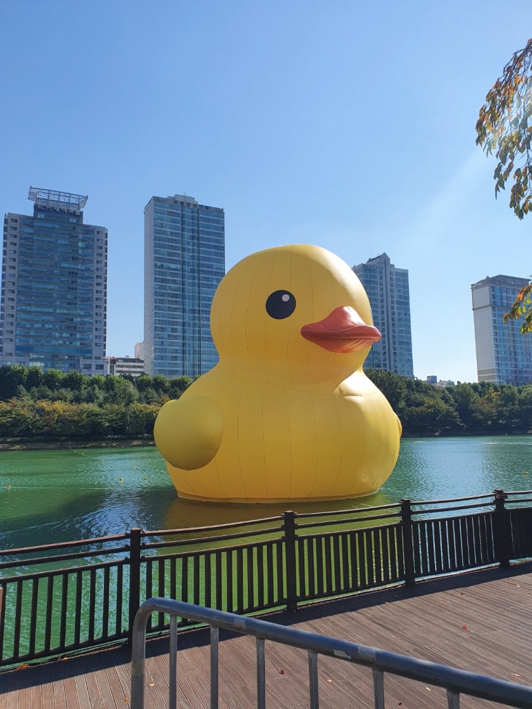 허*덕 이미지