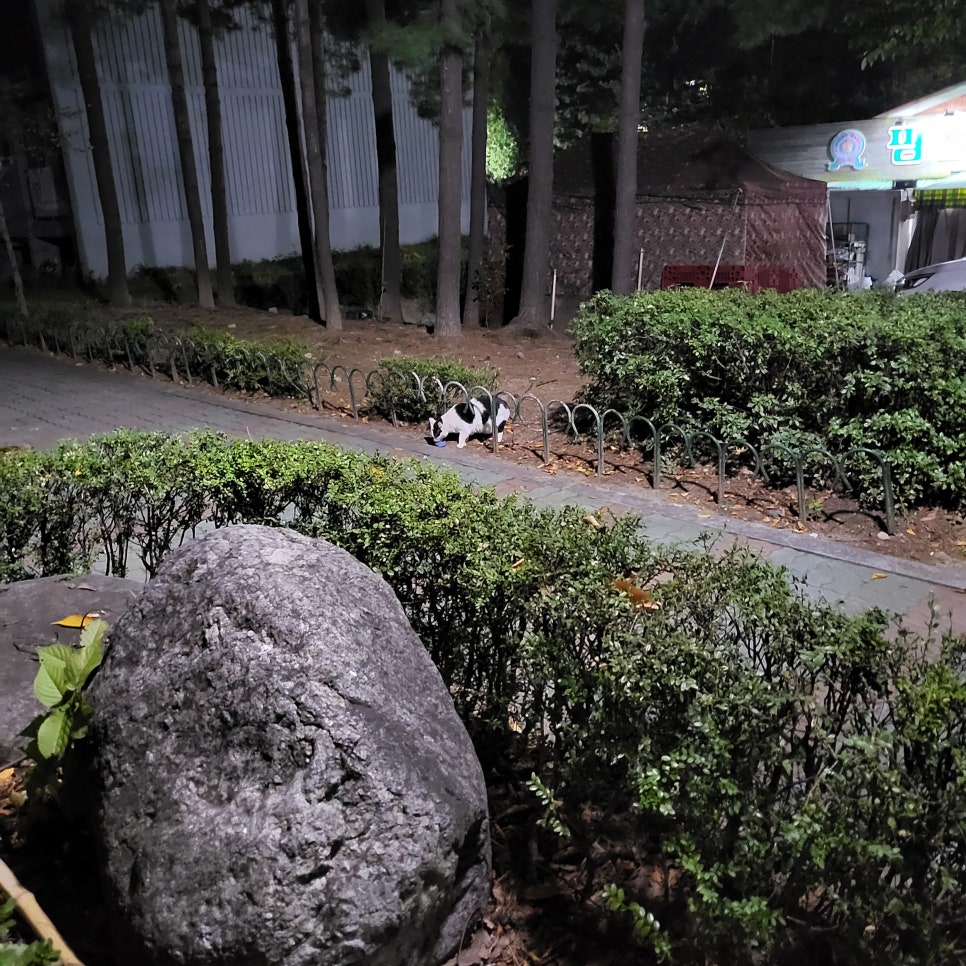 포동짬뽕군포 이미지