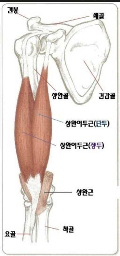 백석PT모티플짐 이미지