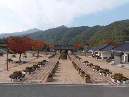 국화통신 이미지