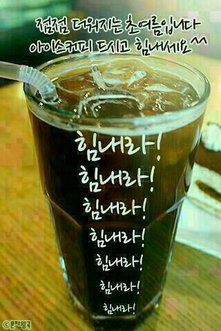 엘알마스터디카페 이미지
