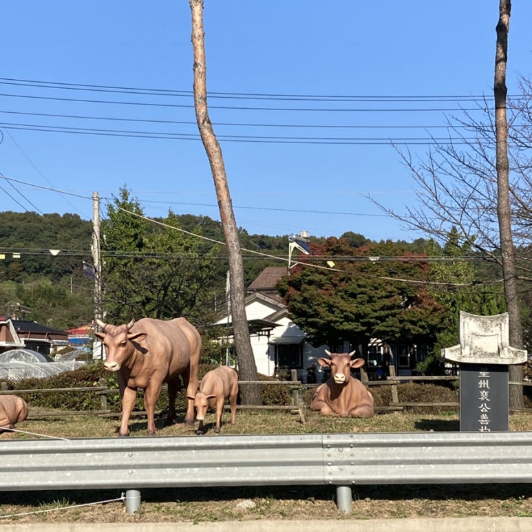 엄지꽈배기 이미지