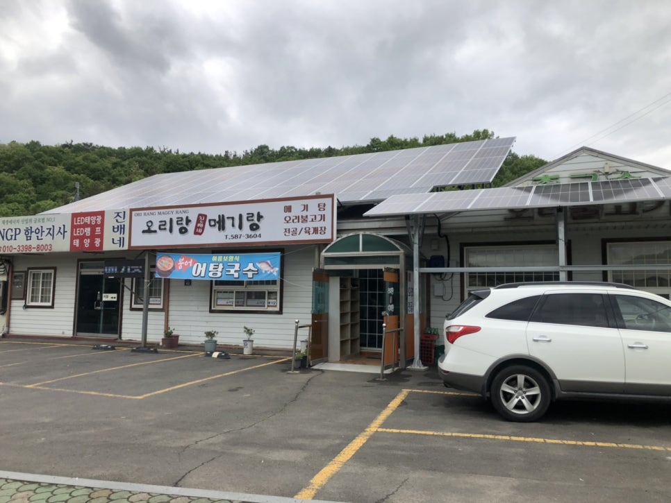 진배네 오리랑 메기랑 이미지