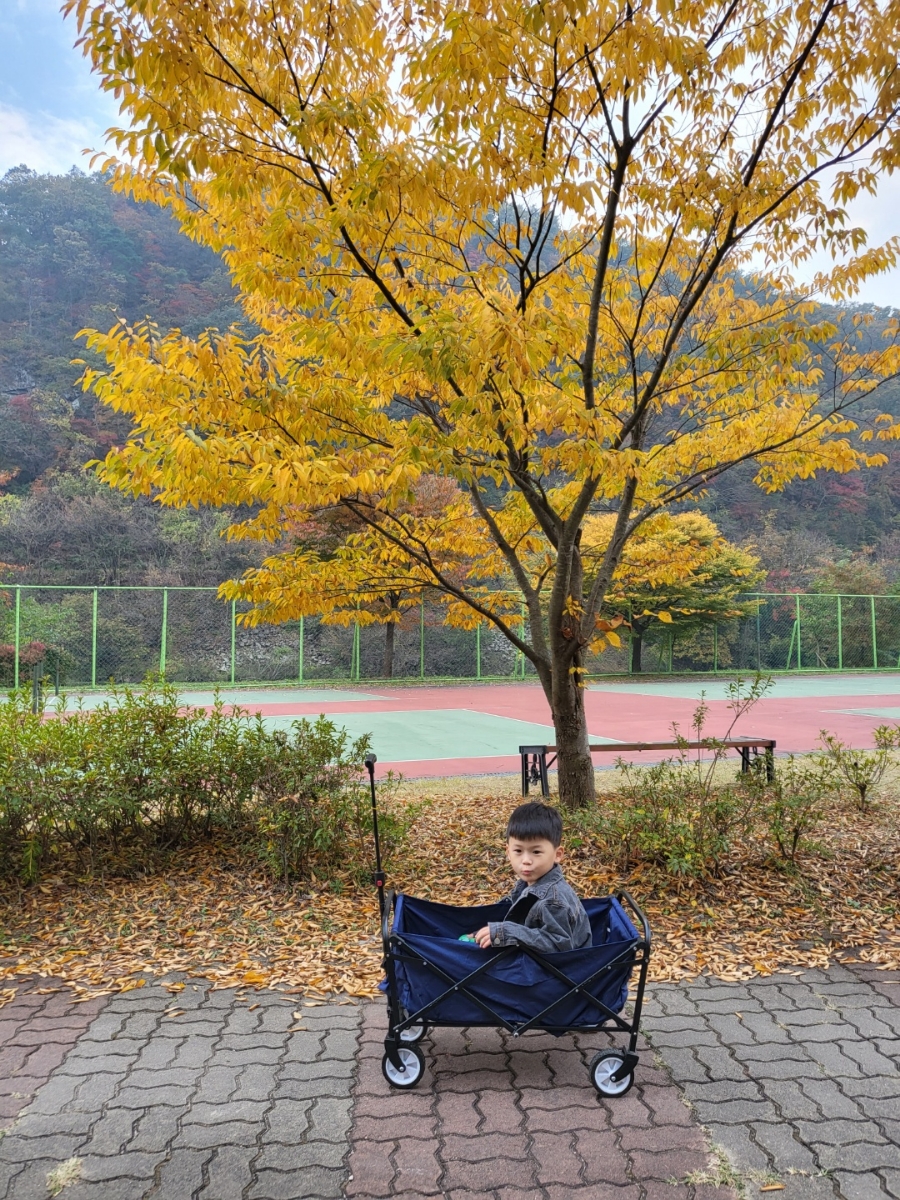 원남지야영장 이미지