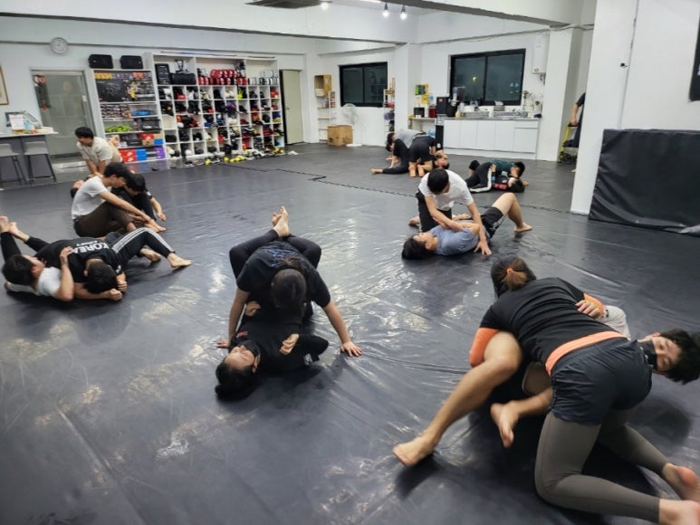 태평미트 이미지