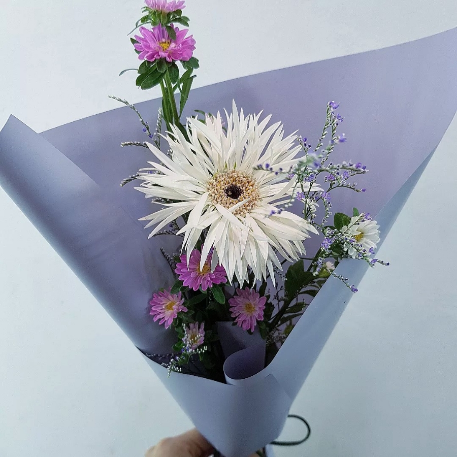 쉐마플라워 이미지