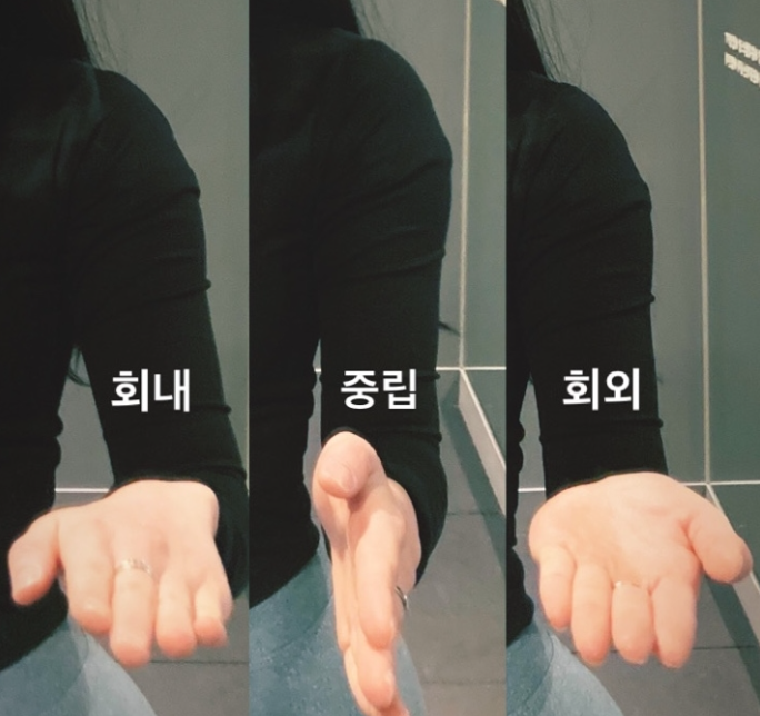 101퍼센트짐 이미지