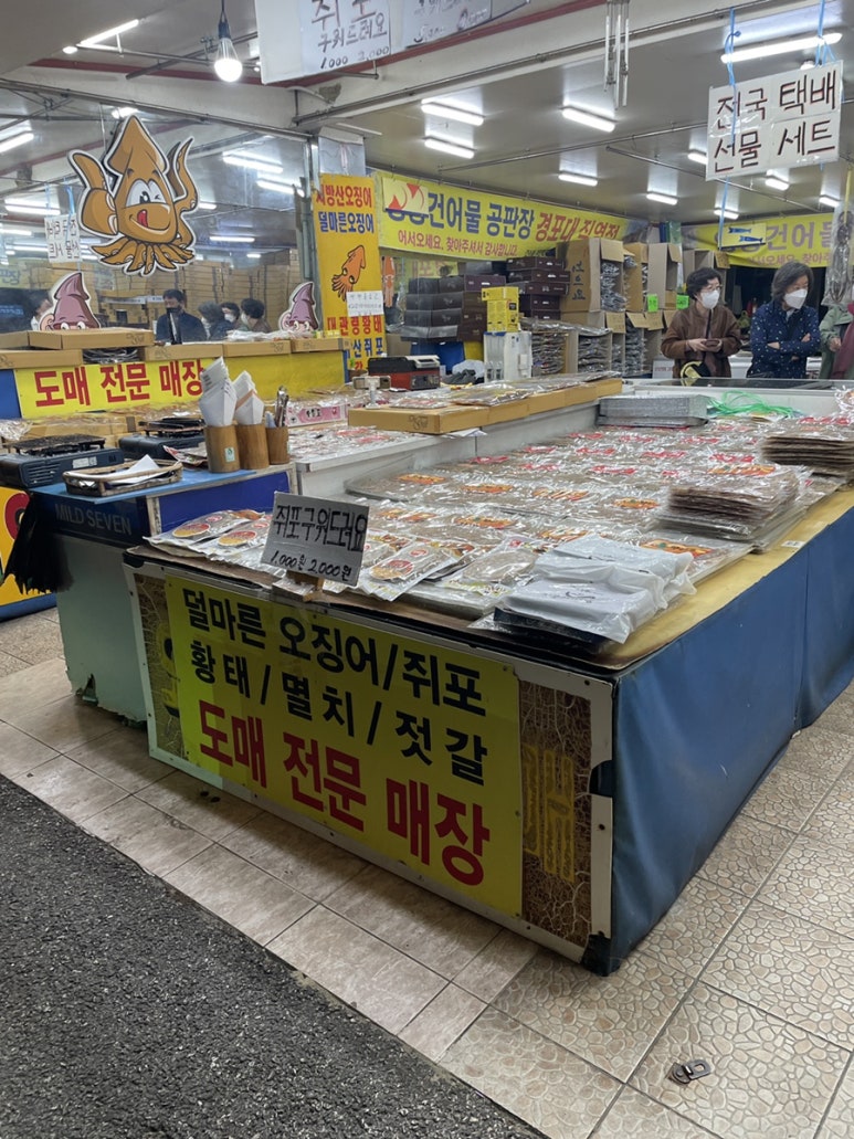 경포배오징어 이미지