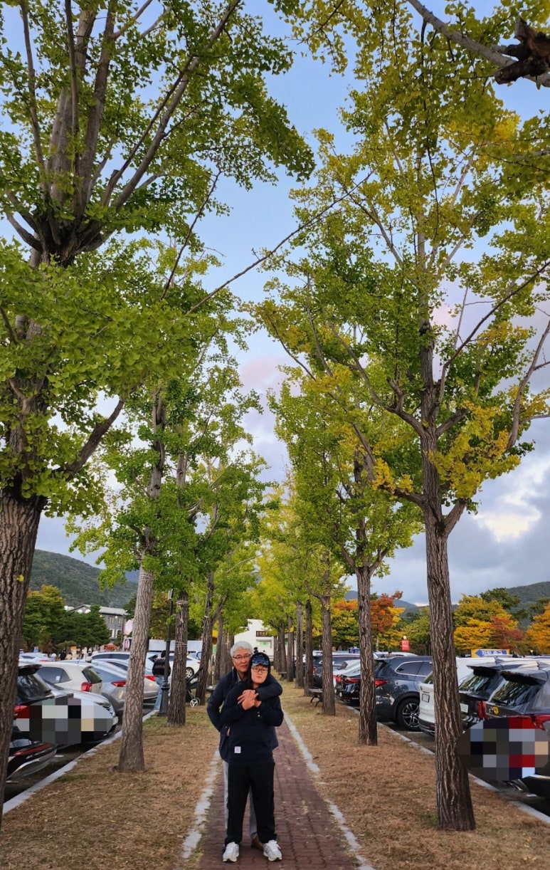 아시아화원 이미지