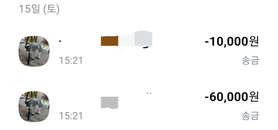 르코스모스 이미지