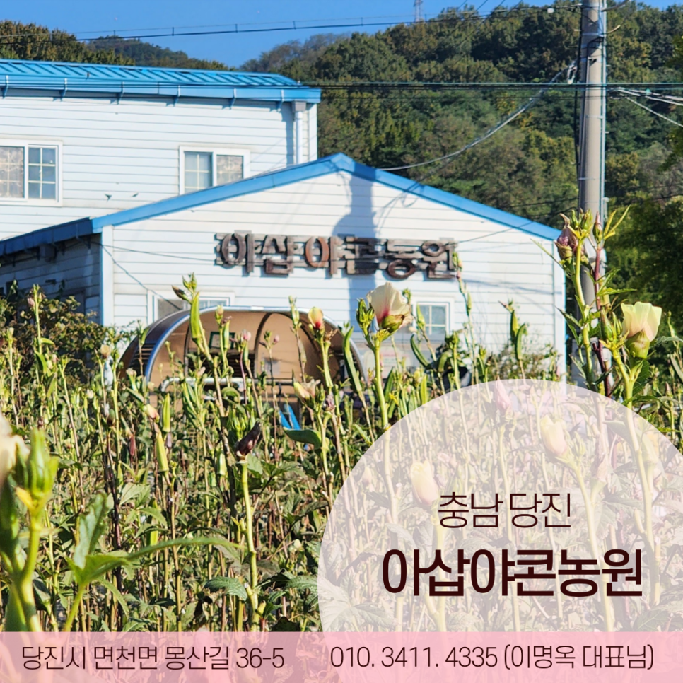 아삽야콘농원 이미지