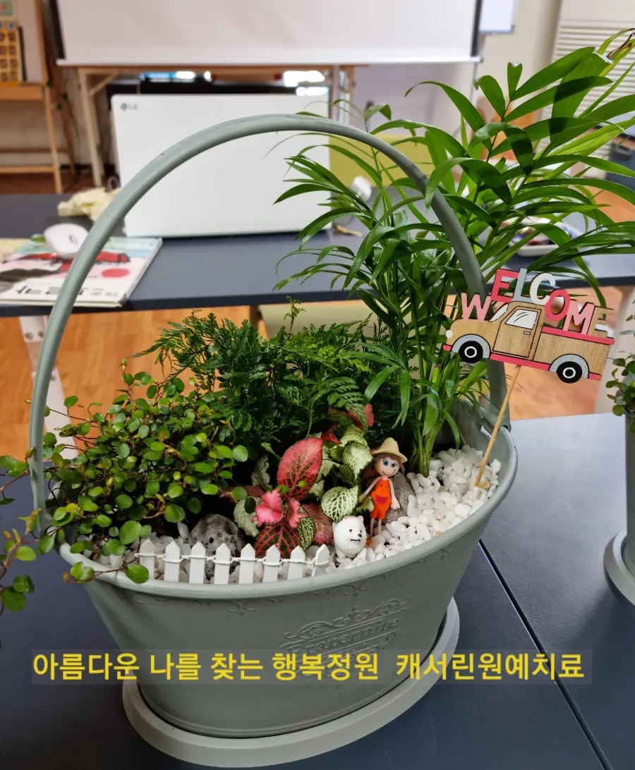 원예마주 이미지