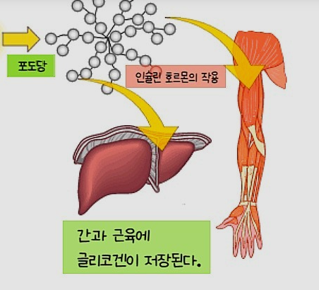 피트니스메카 이미지