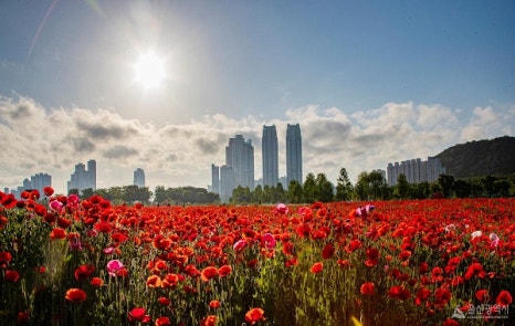 울산광역시제2장애인체육관 이미지
