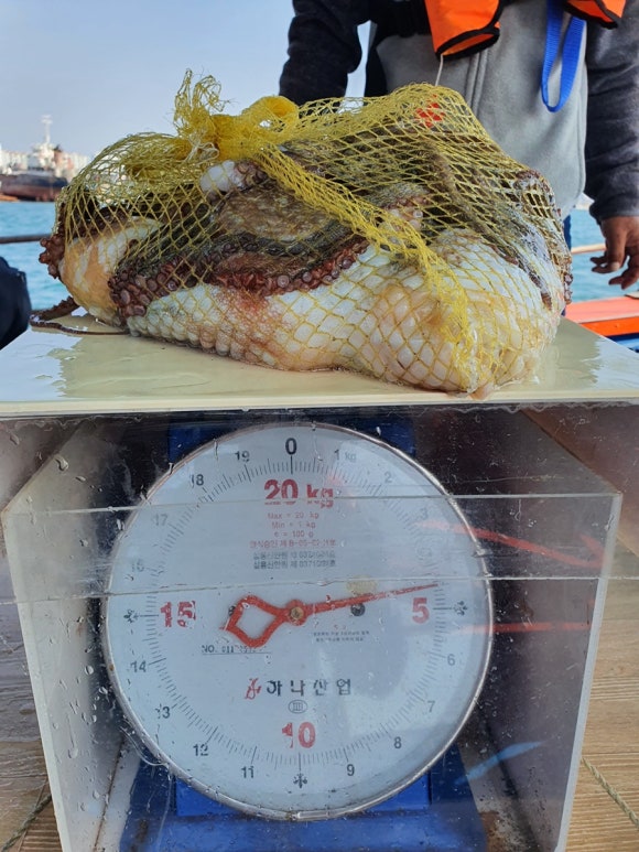 부경호 이미지