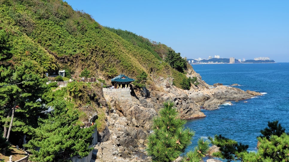 동수전산 이미지