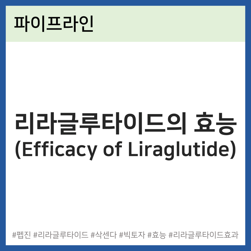 주식회사 리라로 이미지
