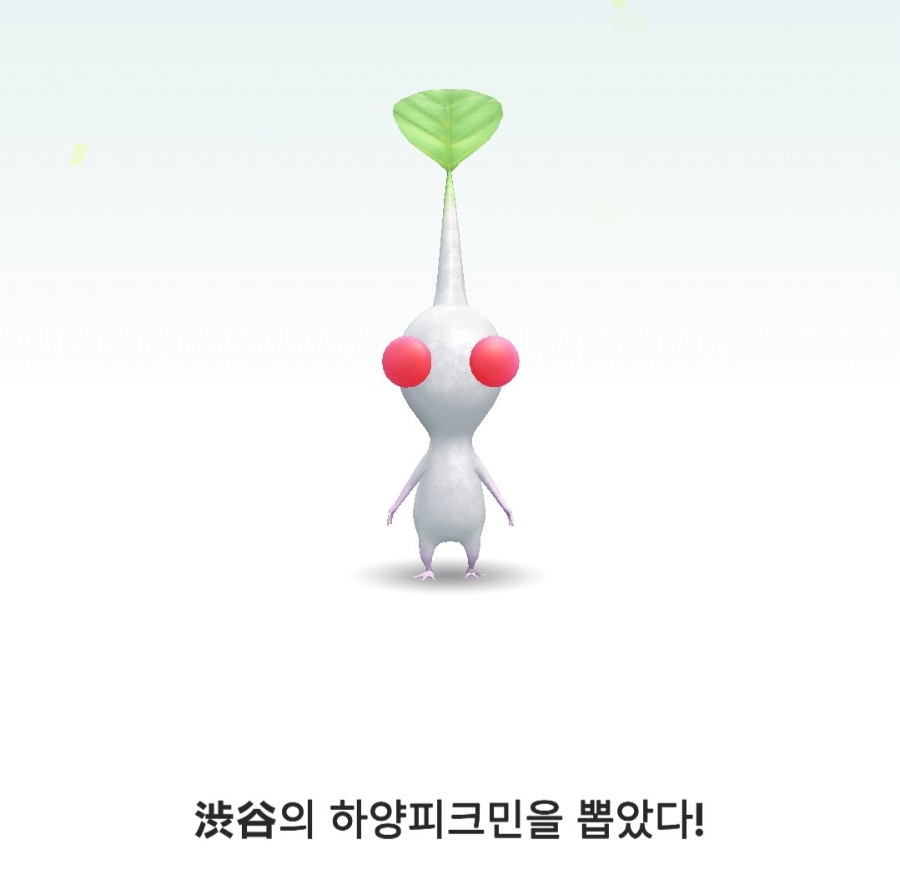 토리마켓 이미지