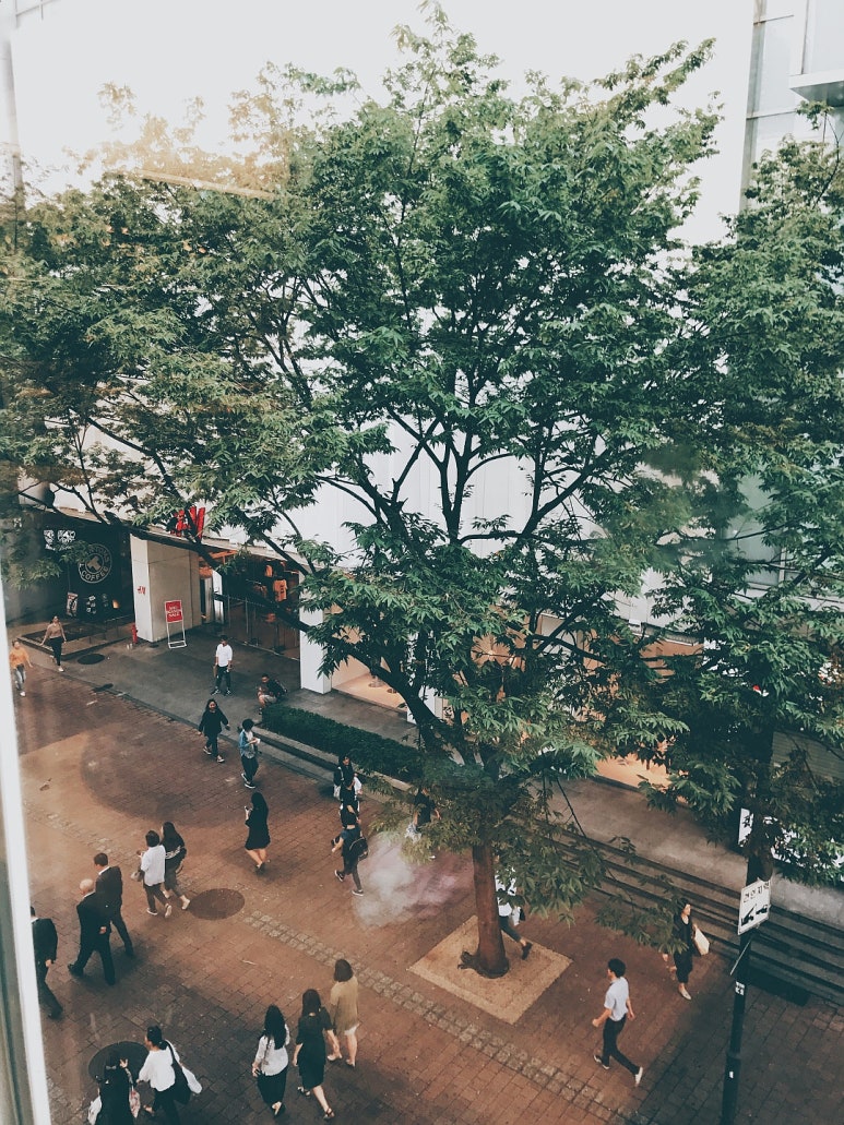 명동정육점 이미지