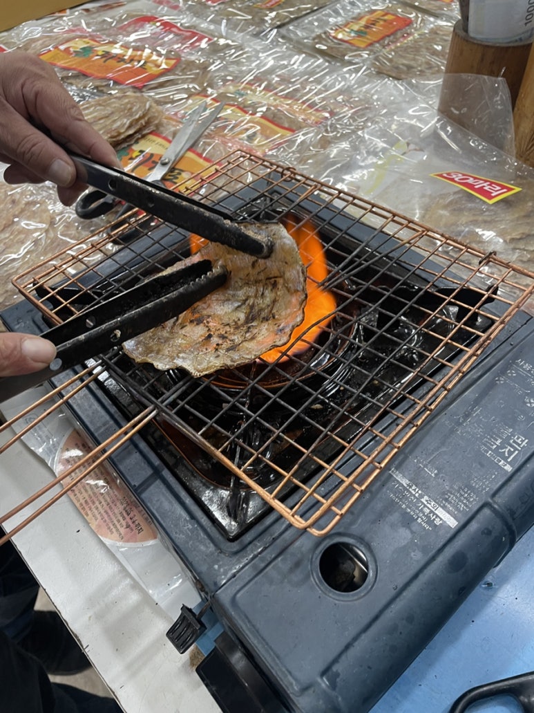 경포배오징어 이미지