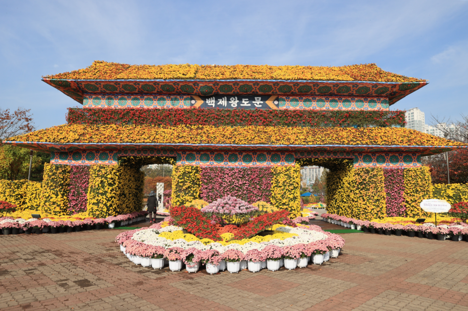 2022 익산 천만송이 국화축제 in 중앙체육공원 : 네이버 블로그
