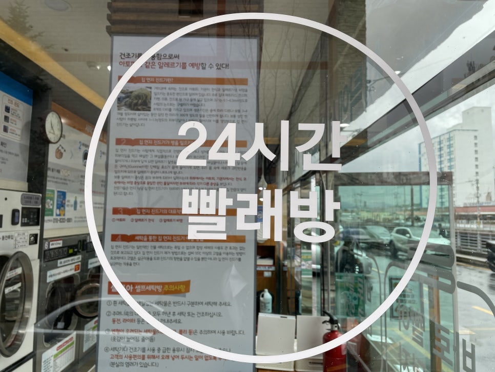 셀피아셀프빨래방 이미지